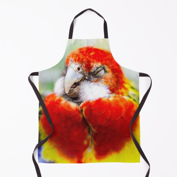 Item preview, Snoozing Eastern Rosella Bird by heidiannemorris designed and sold by FOLK ART FUSION by heidiannemorris.