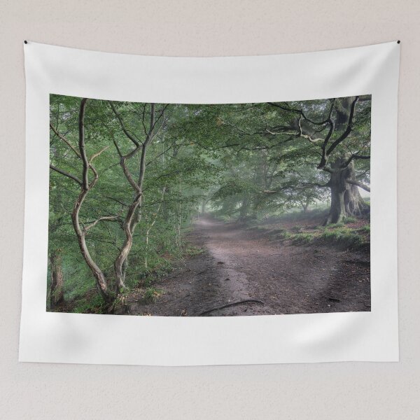 Item preview, Gelt Woods Footpath designed and sold by Phil Buckle.