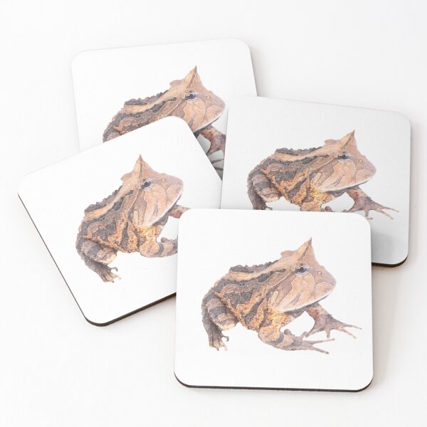 Item preview, Horned toad, Ceratophrys Guyana designed and sold by vincentpremel.