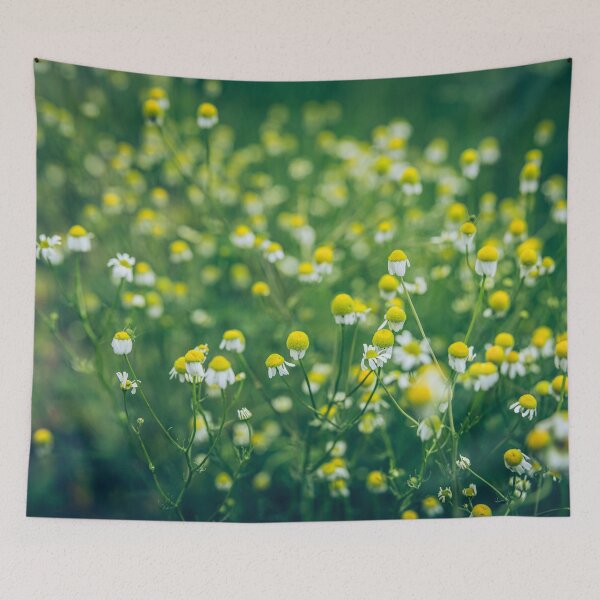 Item preview, Late summer designed and sold by viknitov.