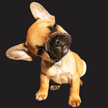 French Bulldog Head Tilt Tshirt, Frenchie Head Tilt Tee