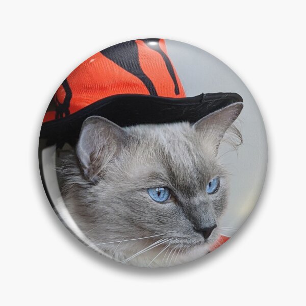Item preview, Halloween ragdoll cat Odin designed and sold by Fluffycat2020.