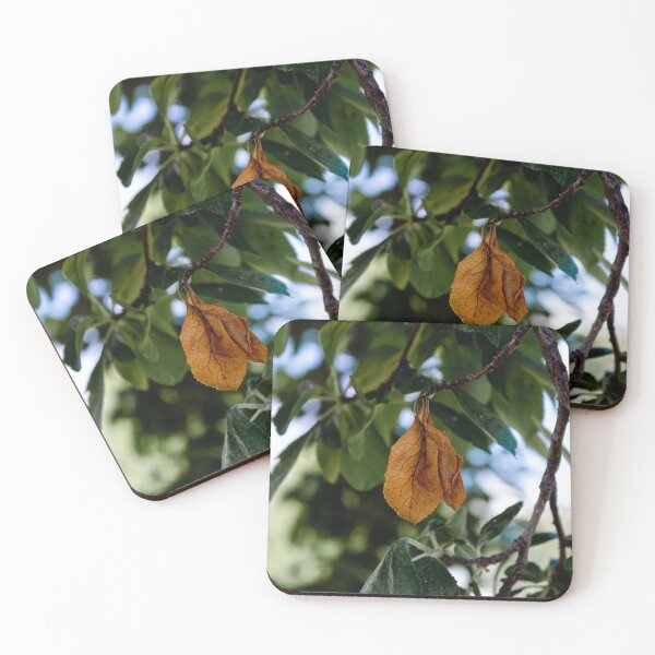Item preview, Dead leaf designed and sold by Life-s-A-Hike.