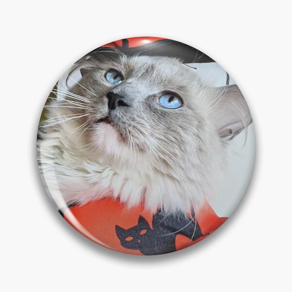 Item preview, Halloween ragdoll cat Odin designed and sold by Fluffycat2020.