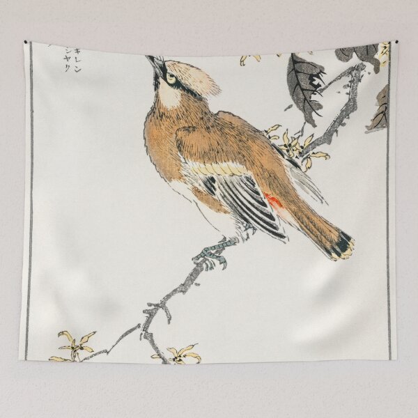 Item preview, eastern waxwing illustration 29510392778 designed and sold by Bird-Lore.