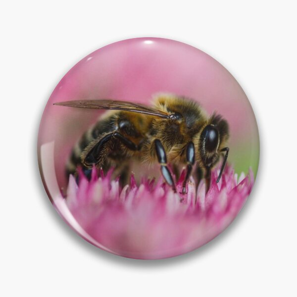 Item preview, Bee collecting pollen designed and sold by kestellimagery.