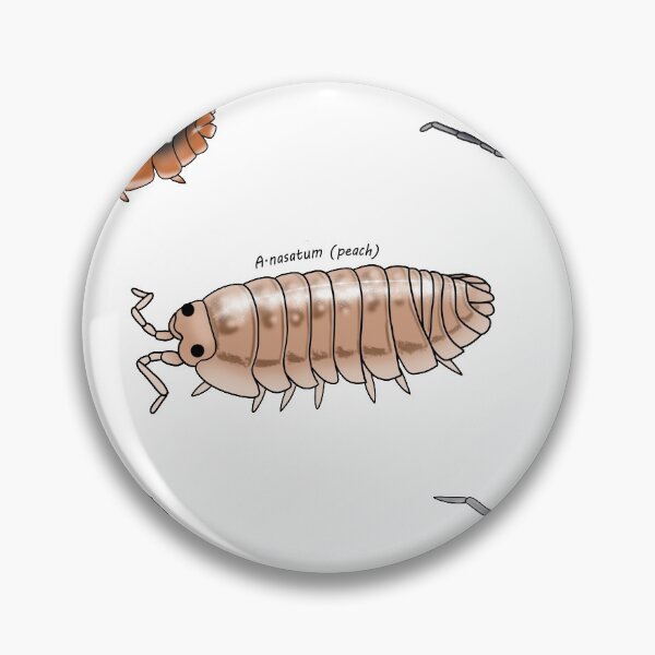 Artikelvorschau, Isopod Sticker Pack 1 entworfen und verkauft von Binkykun.