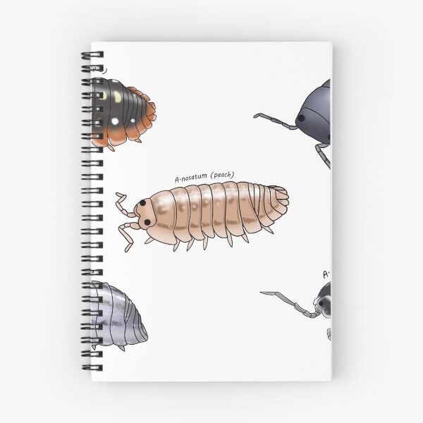 Item preview, Isopod sticker pack 1 designed and sold by Binkykun.