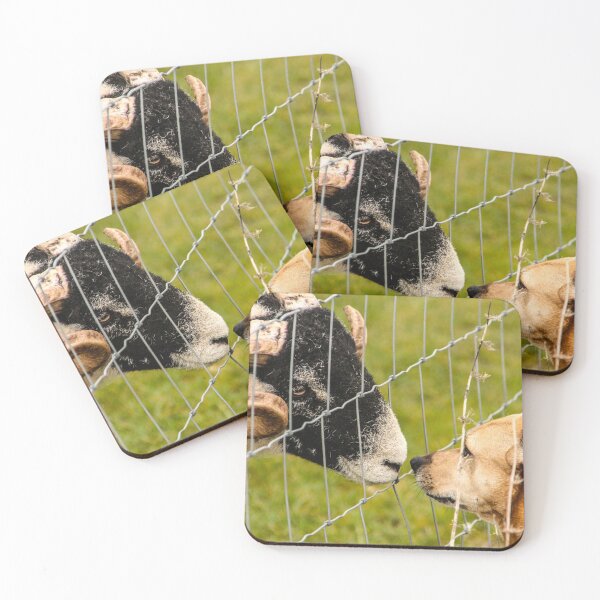 Item preview, Dog meets Sheep designed and sold by kestellimagery.