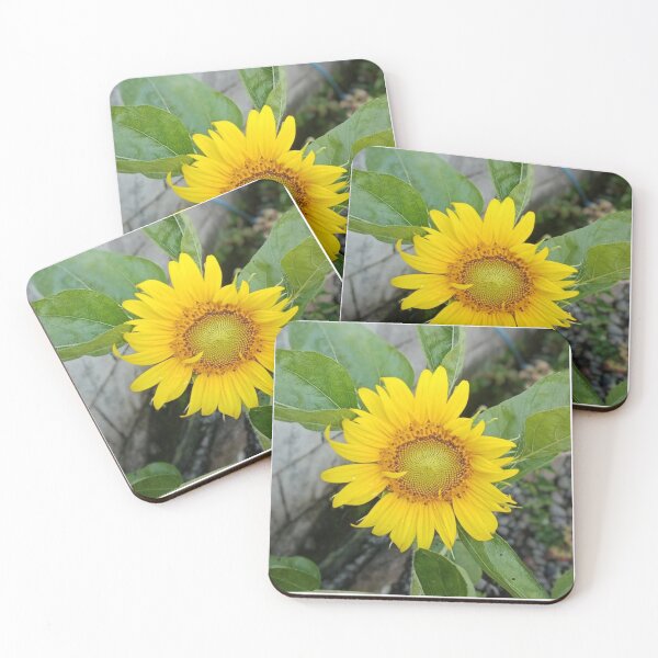 Item preview, Efflorescence Sunflower designed and sold by Luxxe87.