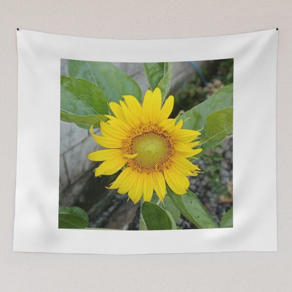 Item preview, Efflorescence Sunflower designed and sold by Luxxe87.