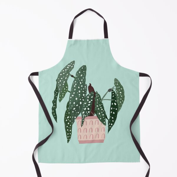 Item preview, Begonia maculata - polka dot plant designed and sold by cinw.