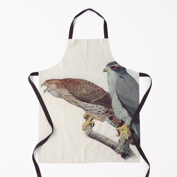 Item preview, Goshawk illustration designed and sold by Vintage Designs +.