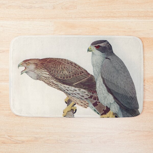 Item preview, Goshawk illustration designed and sold by Vintage Designs +.