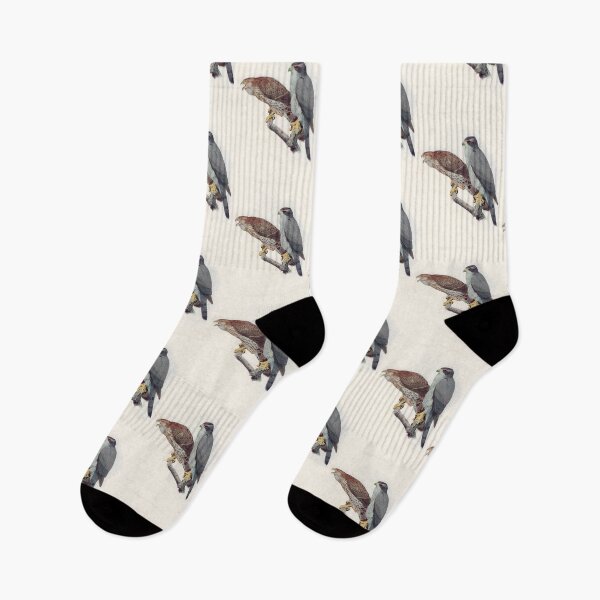 Item preview, Goshawk illustration designed and sold by Vintage Designs +.
