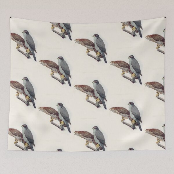 Item preview, Goshawk illustration designed and sold by Vintage Designs +.