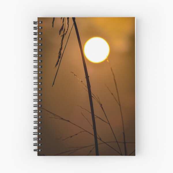 Item preview, Sunset sky and tree  designed and sold by Gaurav Vishwakarma.