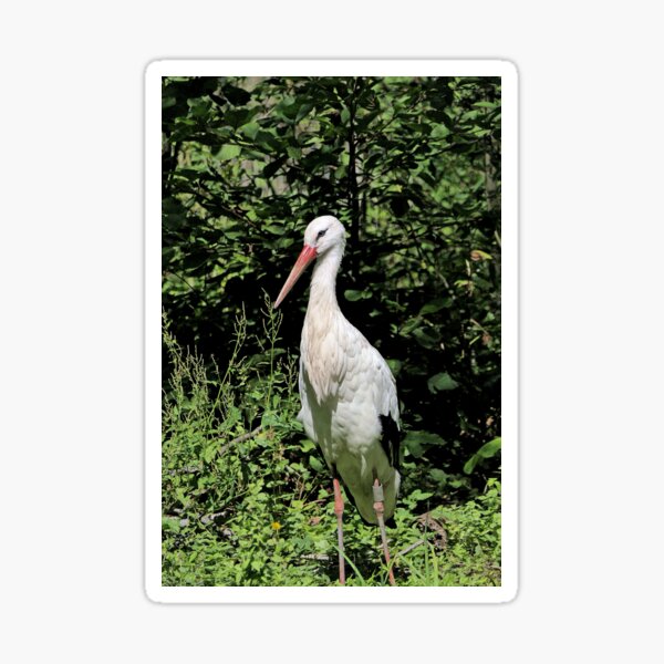 Cigogne Stickers Redbubble