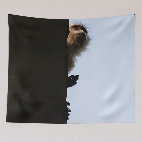Item preview, Monkey on rooftop at asian market designed and sold by Tahne.