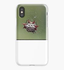 Spiny Orb Weaver - Gasteracantha Cancriformis iPhone Case