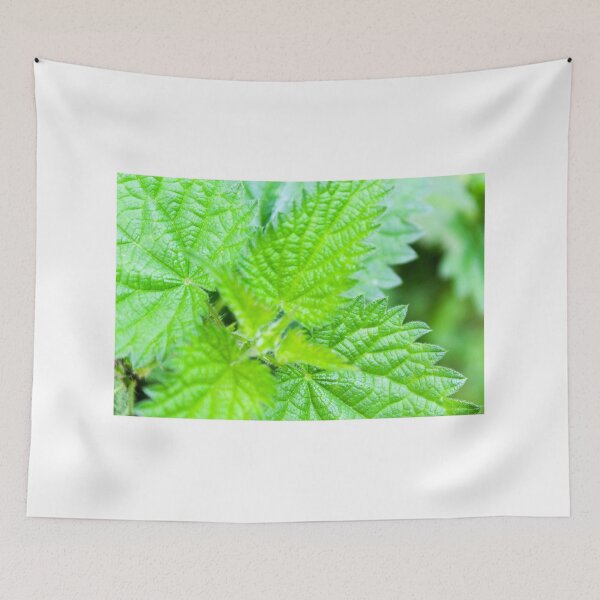 Item preview, Bright green stinging nettles designed and sold by Jenny Burrows.