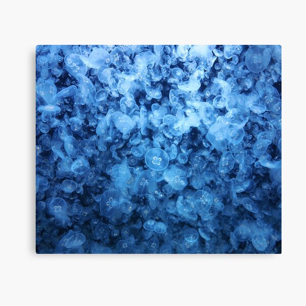 jellyfish pattern Canvas Print