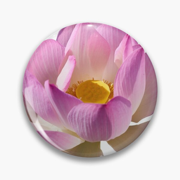 Item preview, Lotus lily art designed and sold by greengoodnich.