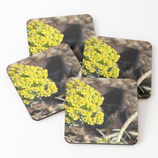 Item preview, Mediterranean Spurge   designed and sold by Naomi80.