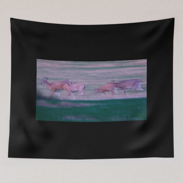 Item preview, Lets go my friends. Virginia deer designed and sold by Jouko Lehto Photography.