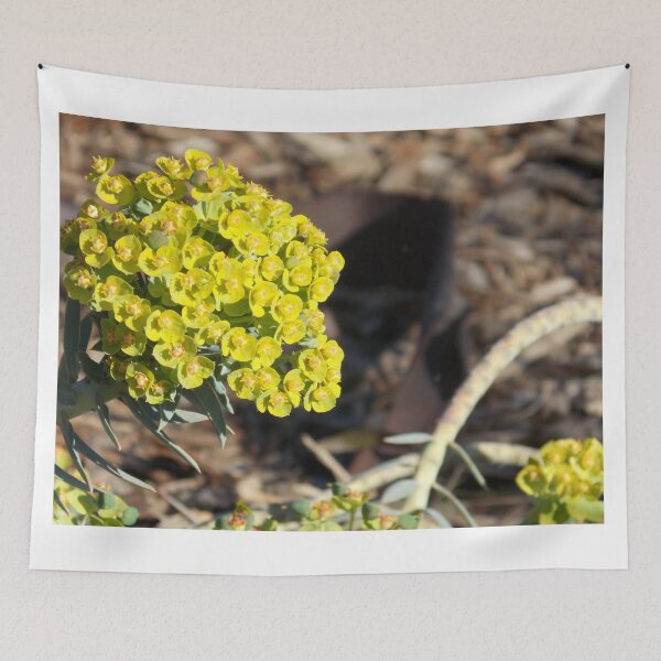 Item preview, Mediterranean Spurge   designed and sold by Naomi80.