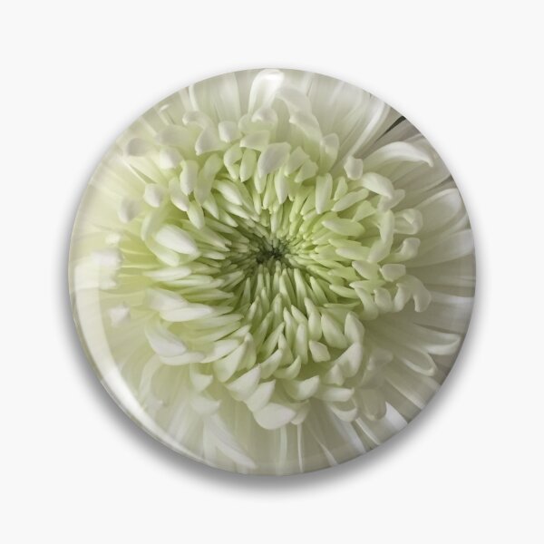 Aperçu de l'œuvre FLEUR DE CHRYSANTHÈME créée et vendue par DharshART.