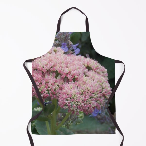 Item preview, Garden Stonecrop designed and sold by Naomi80.