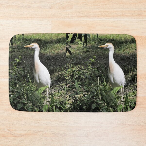 Item preview, r2467/ 21 parc-ornithologique-de-st-hilaire-la-palud -  héron garde-boeufs -  2020 par Okaio Créations - Olavia&Olao designed and sold by o.okaïo.