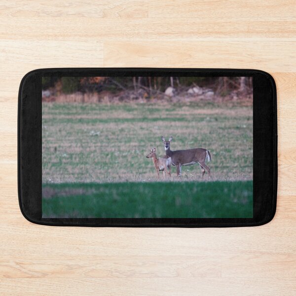 Item preview, A moment to think. Virginia deer designed and sold by Jouko Lehto Photography.