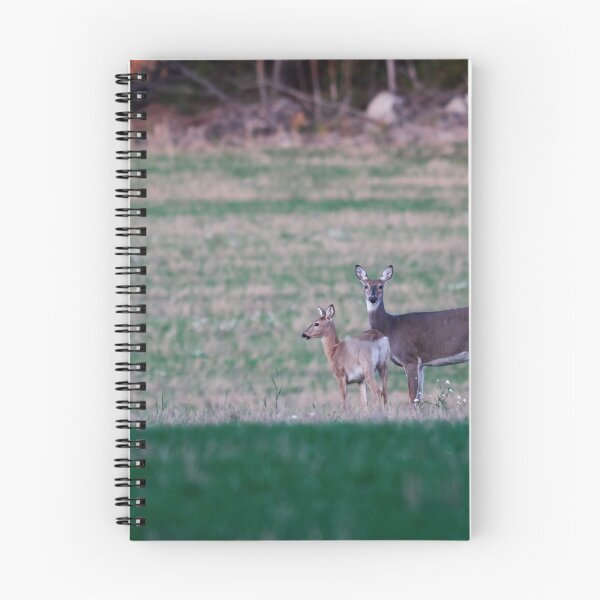 Item preview, A moment to think. Virginia deer designed and sold by Jouko Lehto Photography.