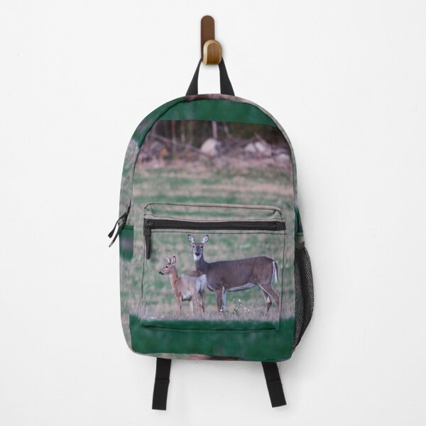 Item preview, A moment to think. Virginia deer designed and sold by Jouko Lehto Photography.