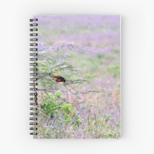 Item preview, Bee-eater in flight. Lake Nakuru National Park. Kenya designed and sold by electricimage.