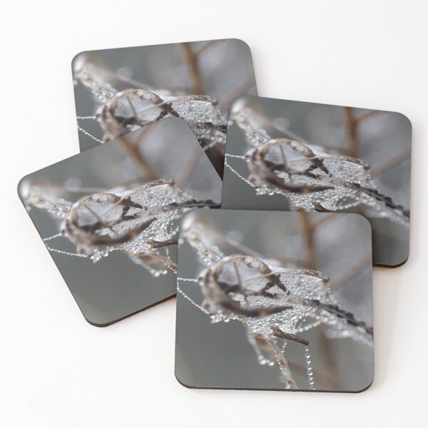 Item preview, Intricate Web Design designed and sold by cuprum.