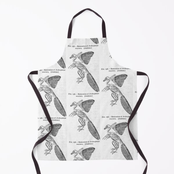 Item preview, Skeleton of the archeopteryx illustration designed and sold by Vintage Designs +.