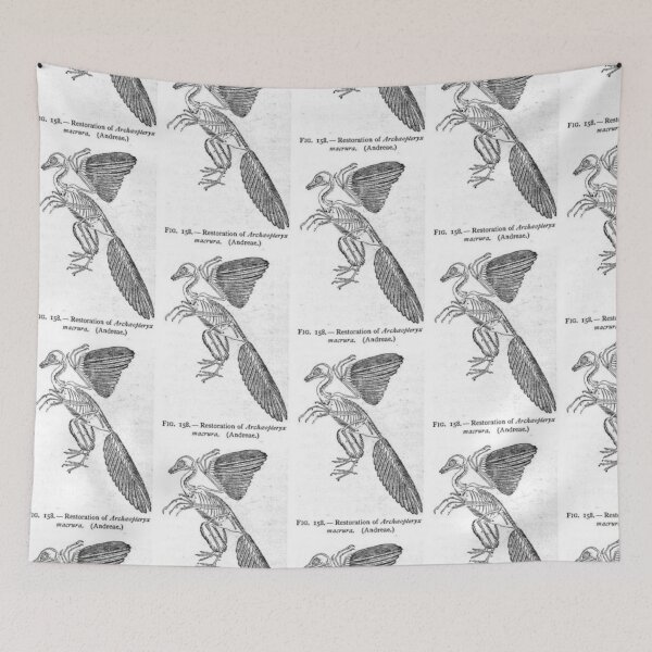 Item preview, Skeleton of the archeopteryx  illustration  designed and sold by Vintage Designs +.