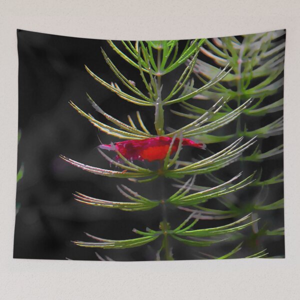 Item preview, Red Cherry Shrimp designed and sold by GFishy.