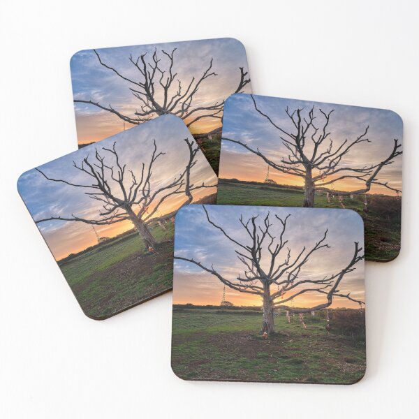 Item preview, The Wishing Tree St Helens designed and sold by manateevoyager.