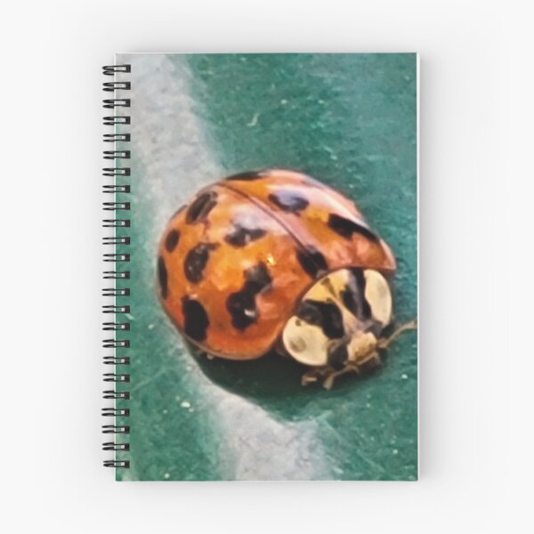 Item preview, Ladybug designed and sold by bellaura.