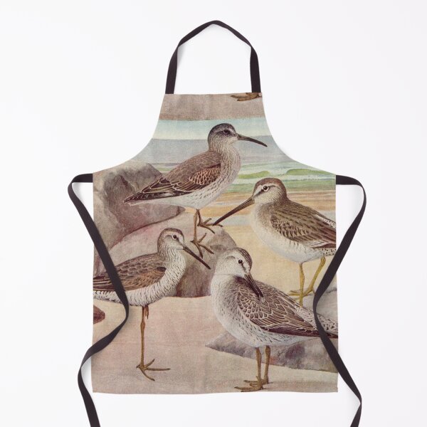 Item preview, Dowitcher Sandpiper Sanderling illustration designed and sold by Vintage Designs +.