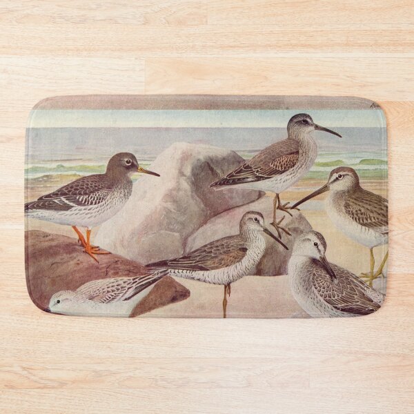 Item preview, Dowitcher Sandpiper Sanderling illustration designed and sold by Vintage Designs +.