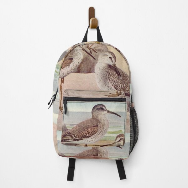 Item preview, Dowitcher Sandpiper Sanderling illustration designed and sold by Vintage Designs +.