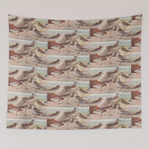 Item preview, Dowitcher Sandpiper Sanderling illustration designed and sold by Vintage Designs +.