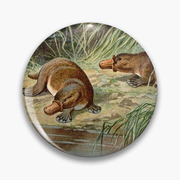 Artikelvorschau, duck billed platypus schnabeltier  illustration  entworfen und verkauft von Vintage Designs +.