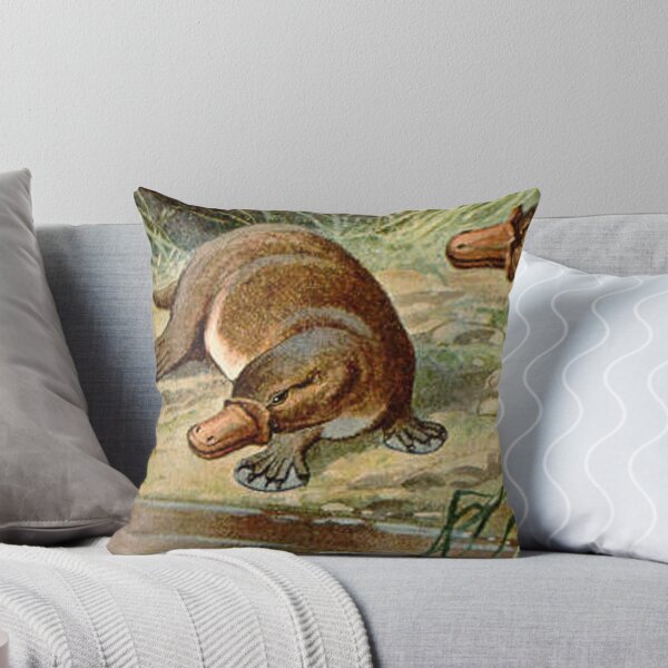 Artikelvorschau, duck billed platypus schnabeltier  illustration  entworfen und verkauft von Vintage Designs +.