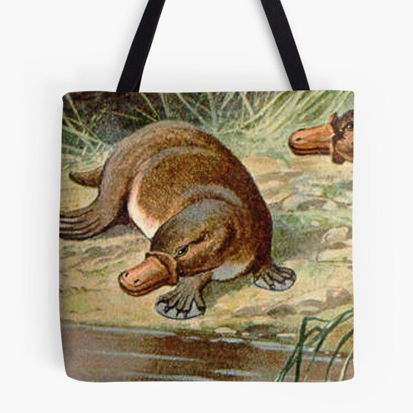 Artikelvorschau, duck billed platypus schnabeltier  illustration  entworfen und verkauft von Vintage Designs +.